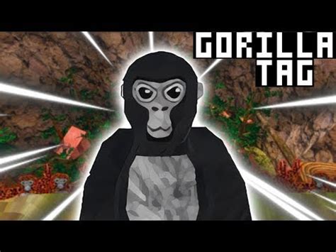 Hola, el dia de hoy vamos a estar jugando gorilla Tag. . Gorilla tag apk quest 2